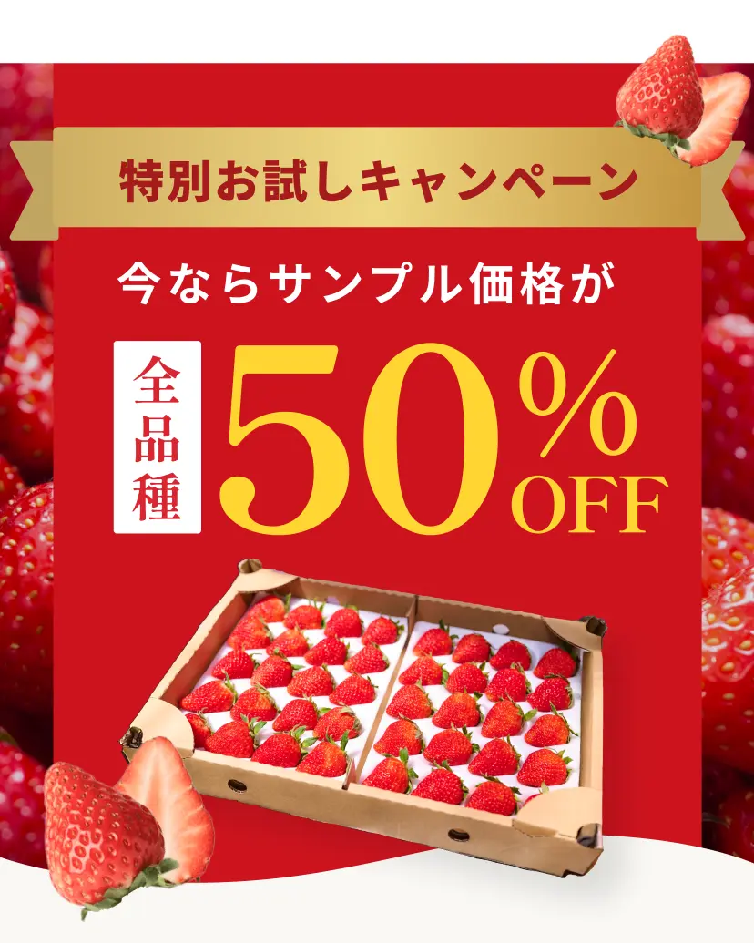 特別お試しキャンペーン今ならサンプル価格が全品種50%OFF