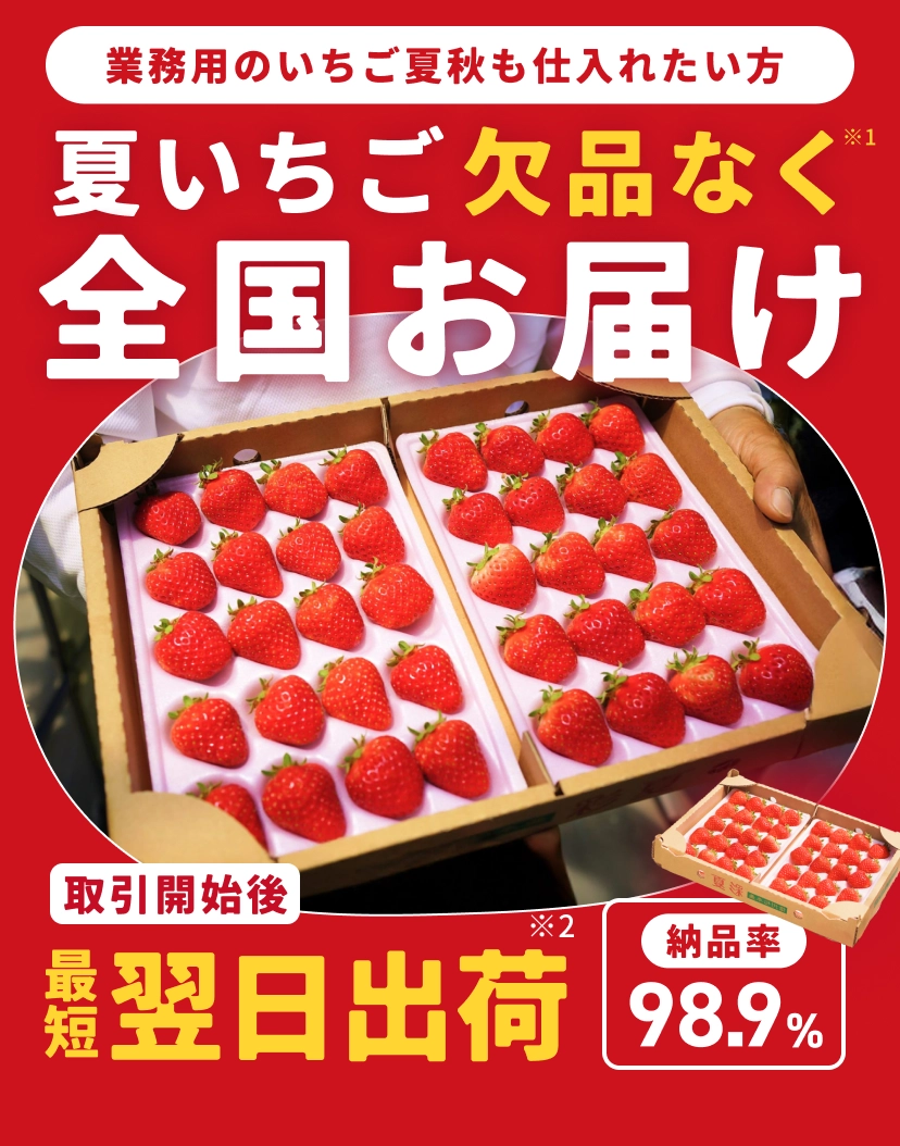 夏いちご欠品なく全国お届け