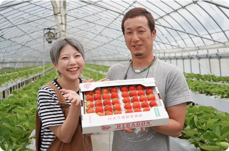 いちご農家