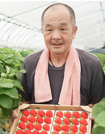 いちご農家