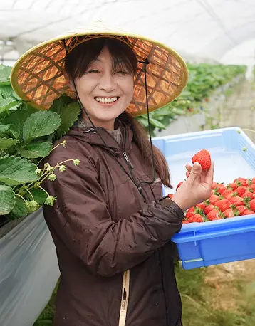 いちご農家