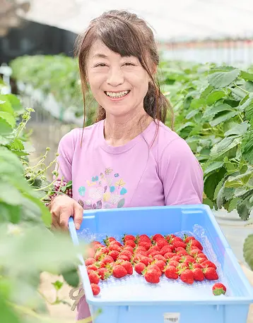 いちご農家