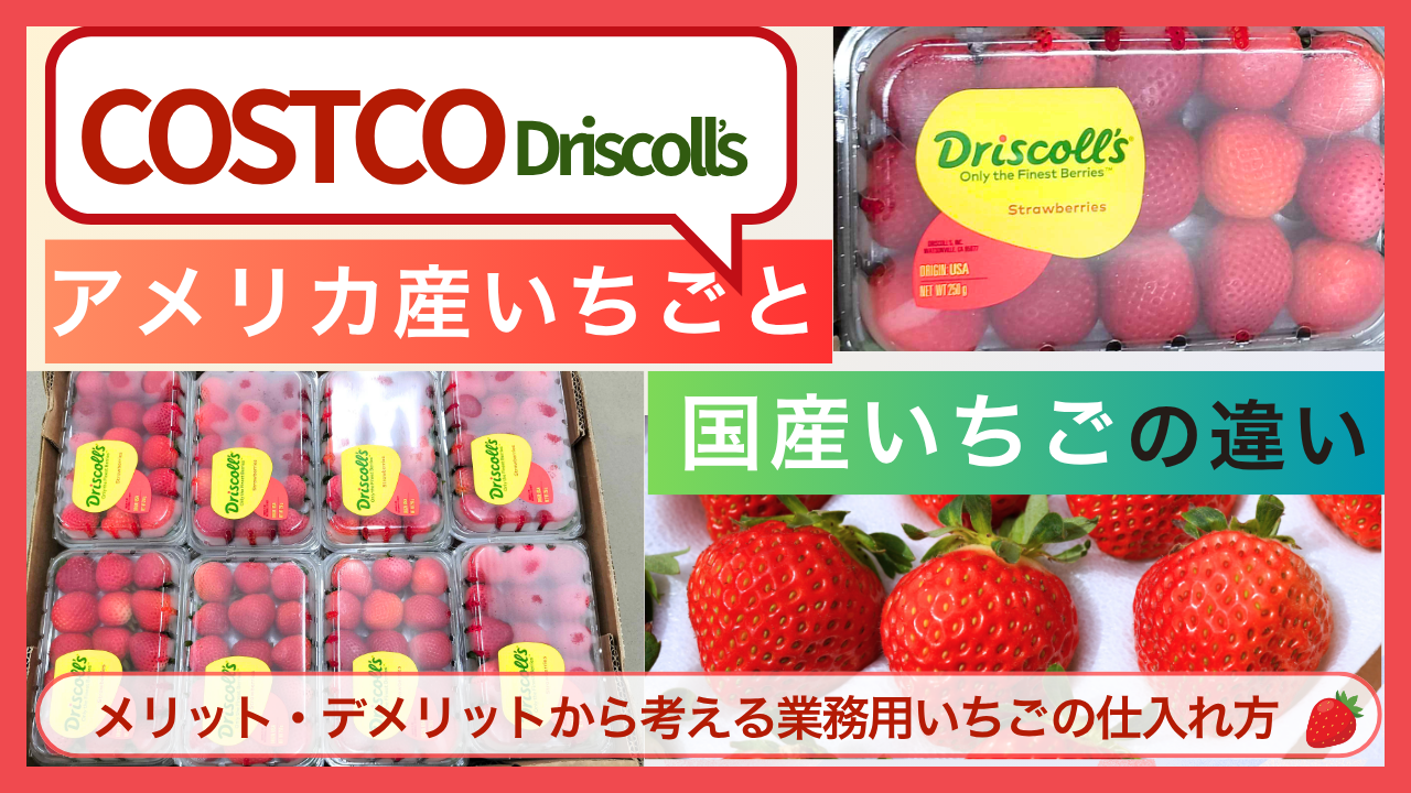 コストコのアメリカ産イチゴ”Driscoll’s ストロベリー”は美味しいの？国産との味の違い、コスパ、賞味期限などについて調査！