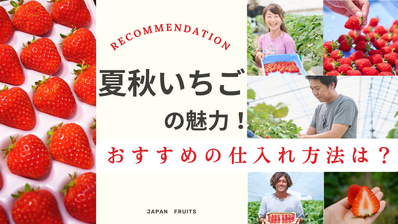夏でも甘い業務用いちごを農園直送で安定供給。夏秋いちごの魅力と活用法、またおすすめの仕入れ方法を解説。