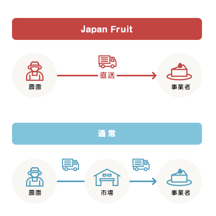 新鮮で高品質ないちごの安定供給ならJapan Fruitsにおまかせください