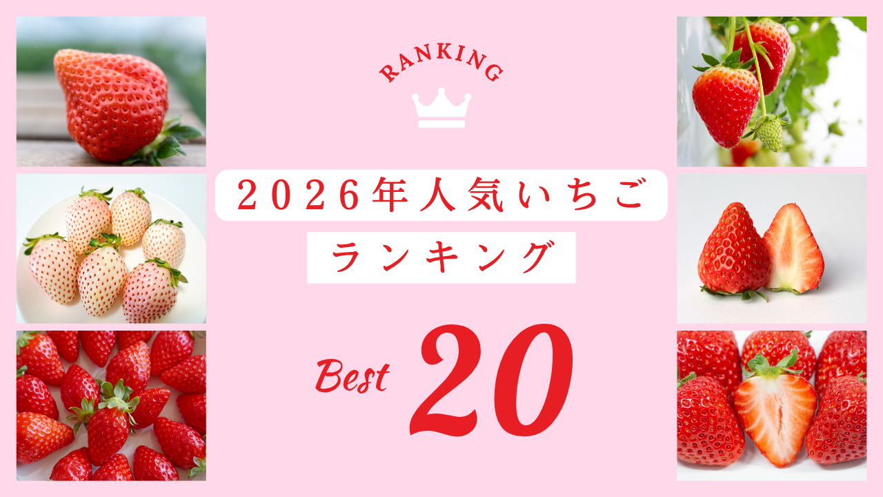 イチゴの品種一覧【2026年版】人気ランキング＆おすすめの選び方