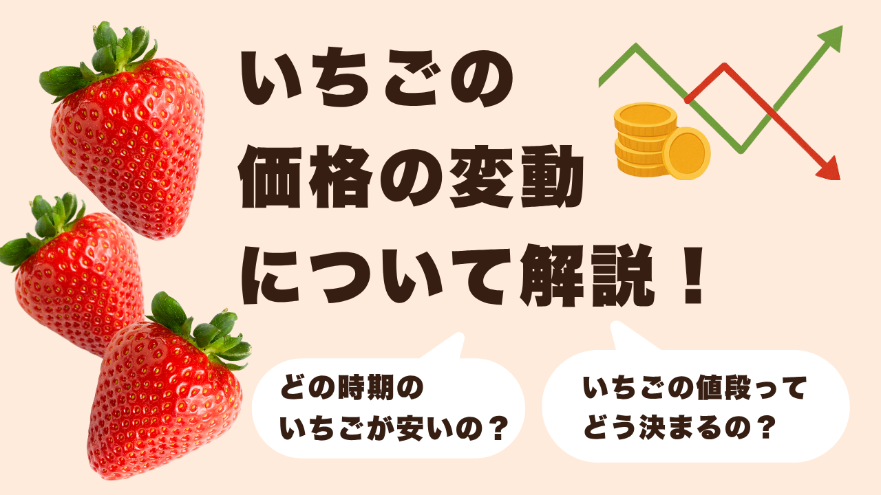 いちごの価格の変動について解説！どの時期のいちごが安い？イチゴの値段ってどう決まるの？