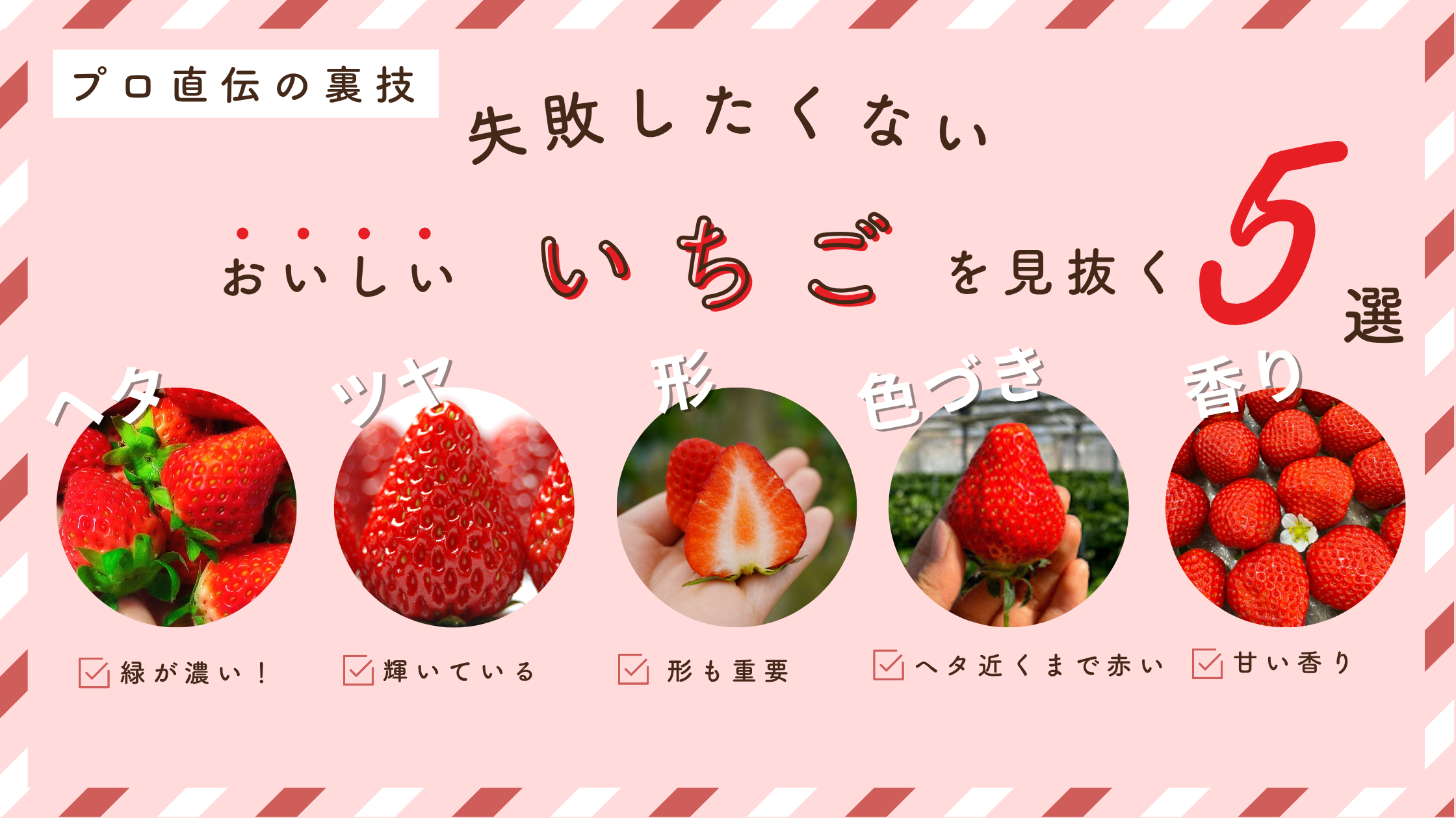 失敗しない！おいしいいちごを見抜くポイント5選〜プロ直伝の裏ワザ＆驚きの豆知識〜