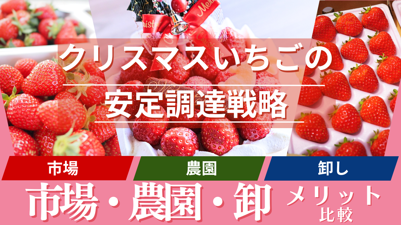 🎄クリスマスいちごの安定調達戦略｜市場・農園・卸のメリット比較