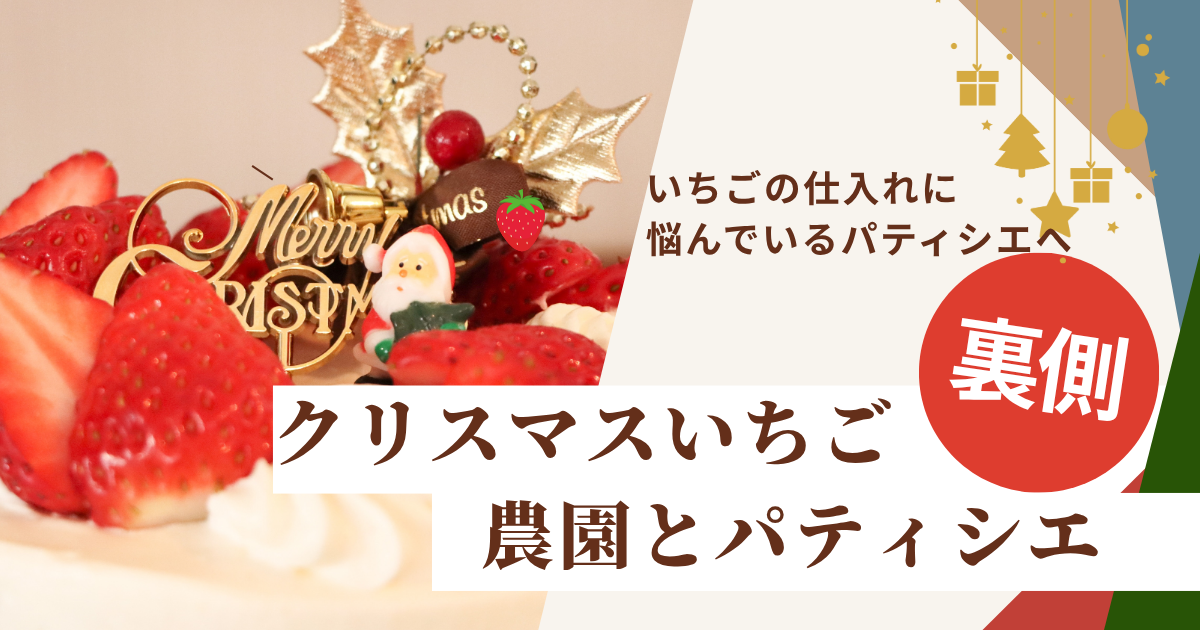 🎄クリスマスいちごの裏側を農園とパティシエが語る　ー今年のいちごの価格動向、出荷動向ー